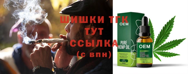 молекула духа Алексеевка