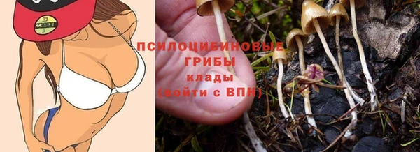 молекула духа Алексеевка