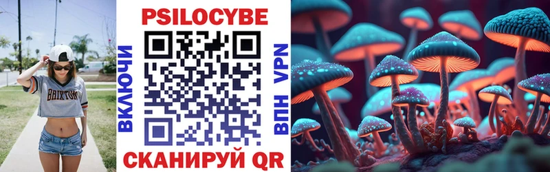 цены наркотик  Губкин  Псилоцибиновые грибы MAGIC MUSHROOMS 