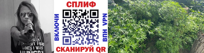 Бошки Шишки OG Kush  Губкин 